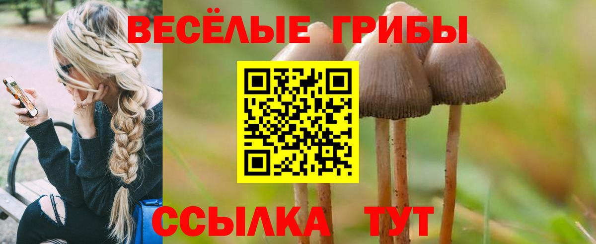 Галлюциногенные грибы Cubensis Шатура